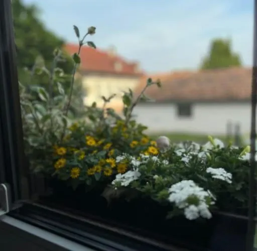 Am Teich Lägenhet *